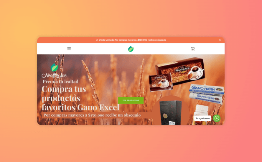 Portafolio 2